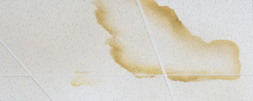Brown water stain spreading across a Bay Shore ceiling from a leak above